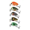 5pcs Mini Crankbait Fishing Lure Floating Wobbler Artificial Hard Bait Swimbait