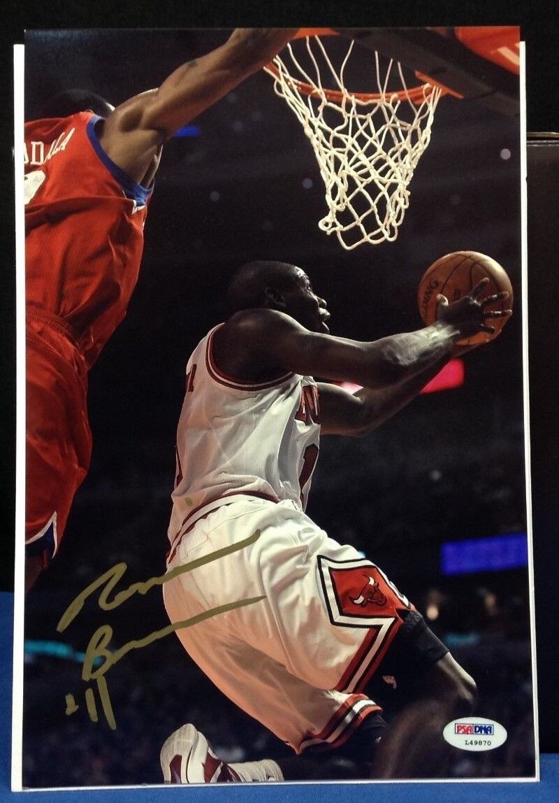 Ronnie Brewer signed Chicago Bulls 8x12 Photo Poster painting PSA/DNA # L49870