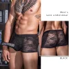 Men's Lace Transparent UnderwearS Sexy Elephant Trunk Boxer Briefs