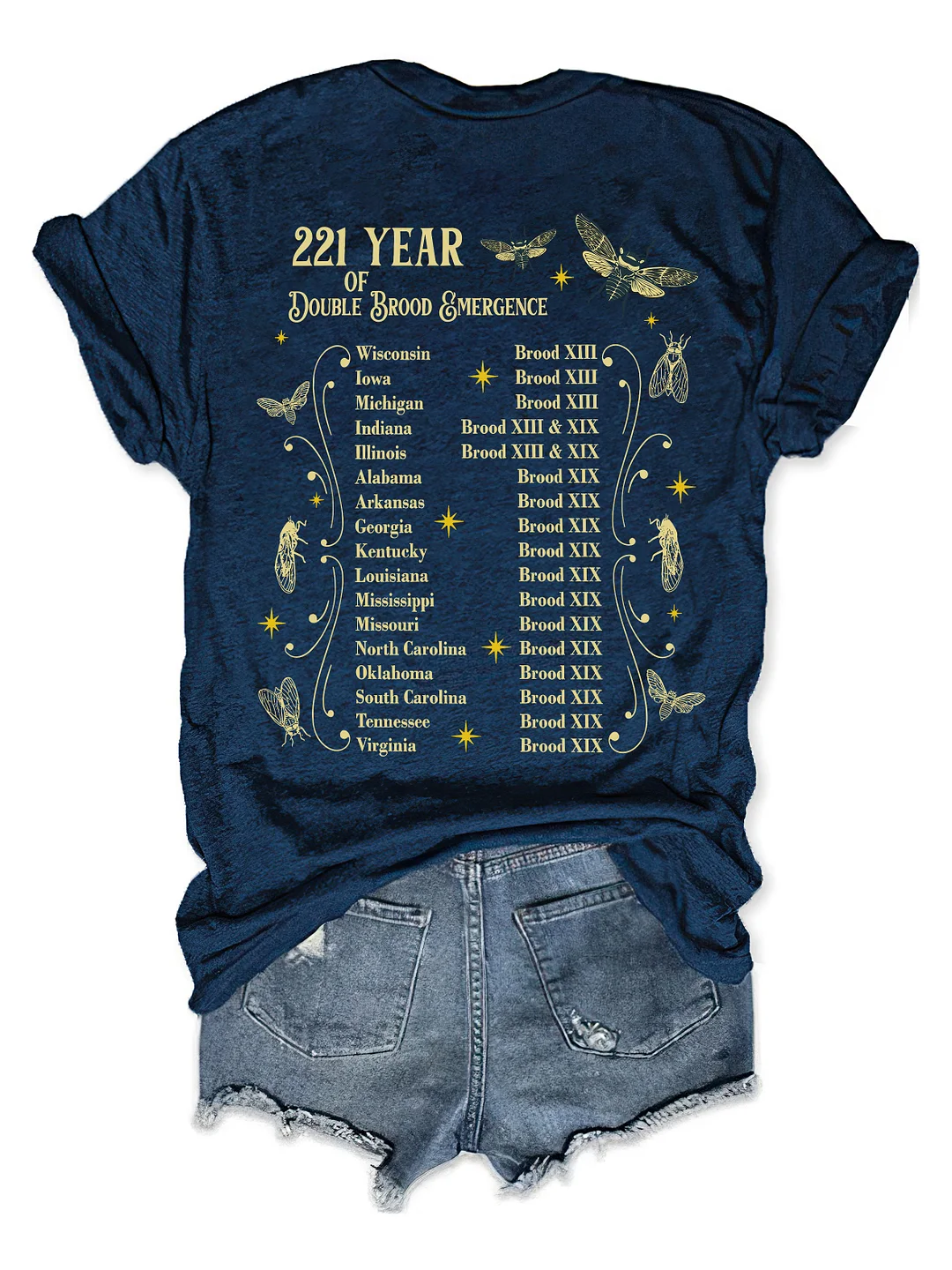 The Cicadas Reunion Tour Summer 2024 T-shirt