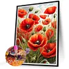 Champs de coquelicots - peinture diamant perceuse ronde - 40*50cm