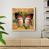 uk.everydayedeals (Limited Stock)Paint By Number - Oil Painting -  Butterfly (40*40Cm)