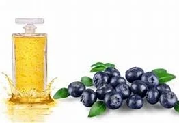   花青素@欧洲越橘籽油Edible Bilberries Essential Oil for Eyes