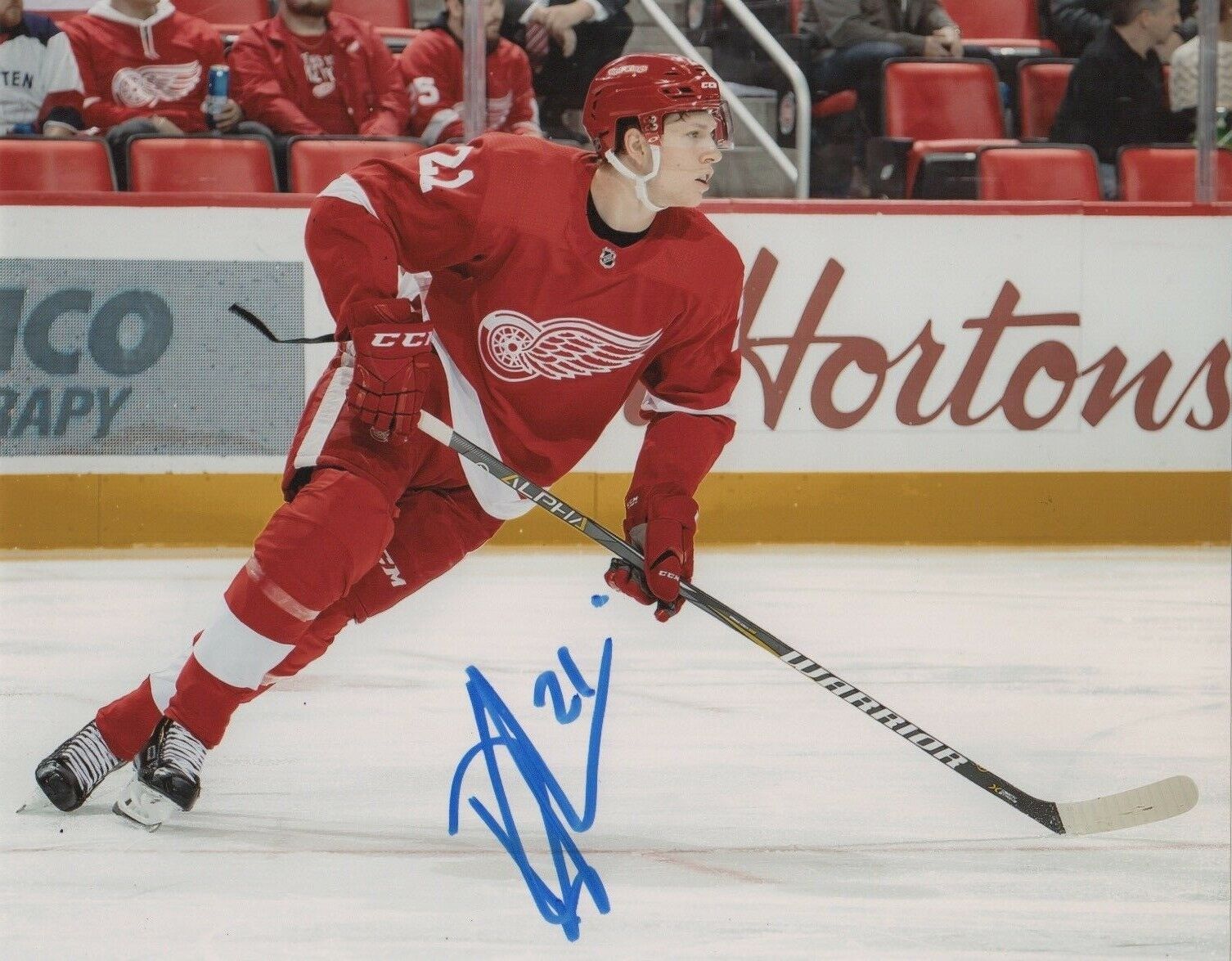 Detroit Red Wings Dennis Cholowski Signed Autographed 8x10 Photo Poster painting COA #4