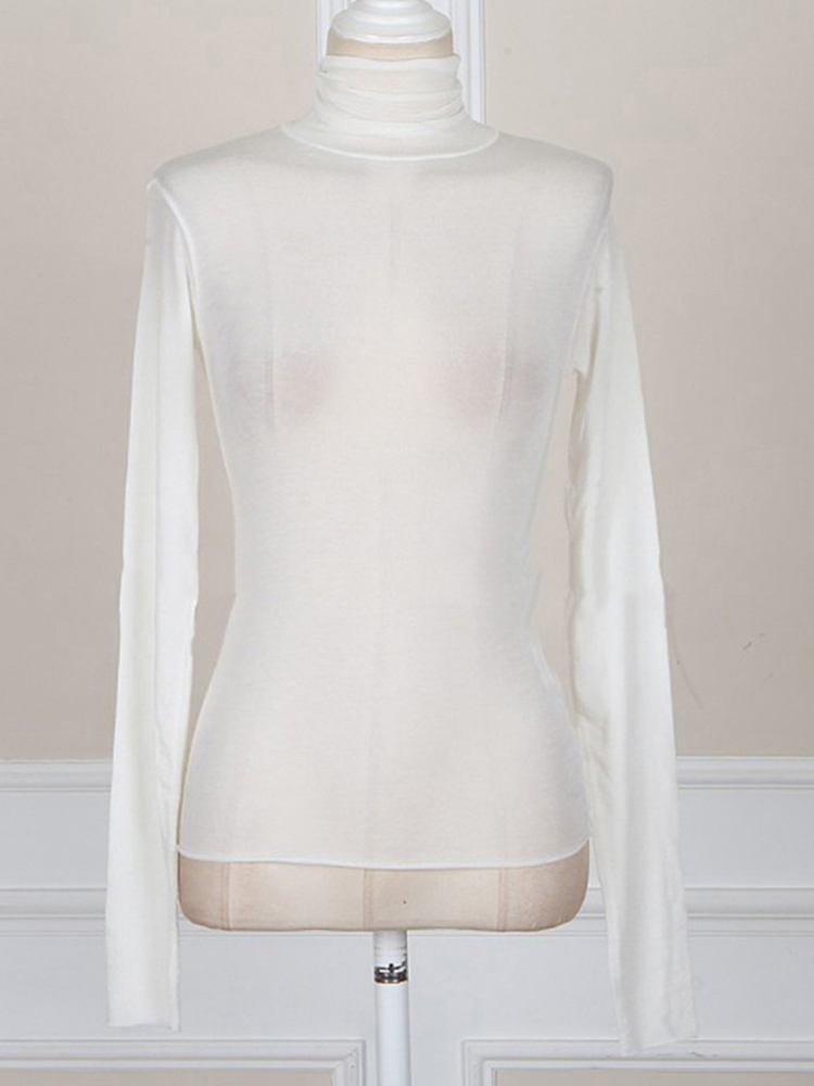 Lazycackle 2025 Fall Fashion Women's Tshirt Solid Long Sleeve Turtleneck Tops Ladies Tight Bottom See Through Sexy T shirt clothing