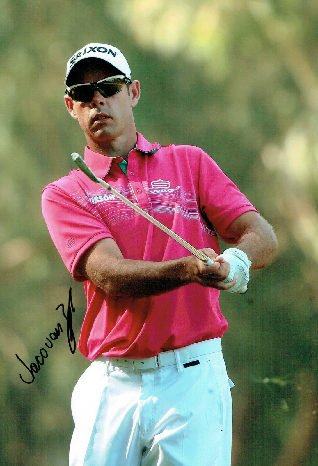 Jaco Van ZYL SIGNED Autograph European Tour Golf 12x8 Photo Poster painting AFTAL COA