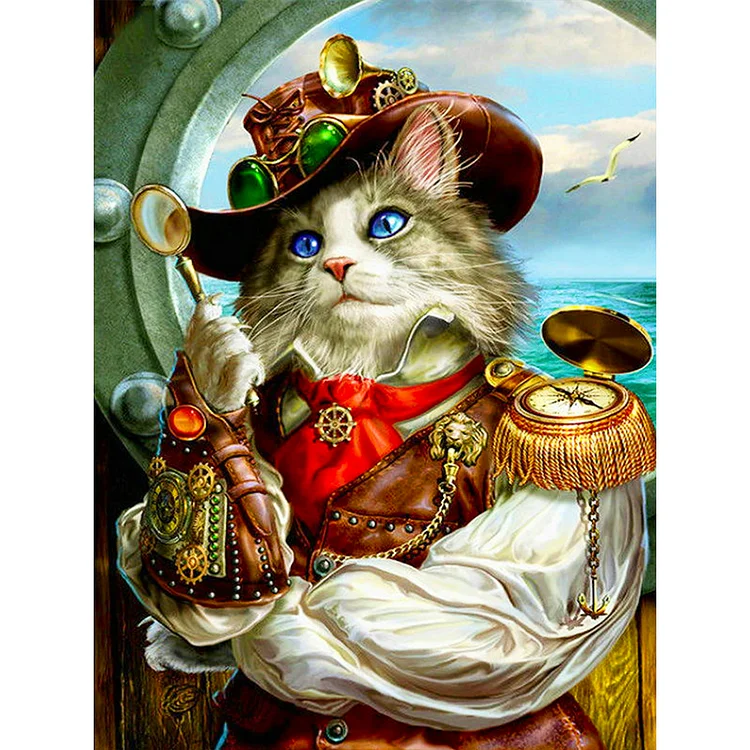 Pirate Navigator Cat 30*40CM (Canvas) Full Round Drill Diamond Painting gbfke