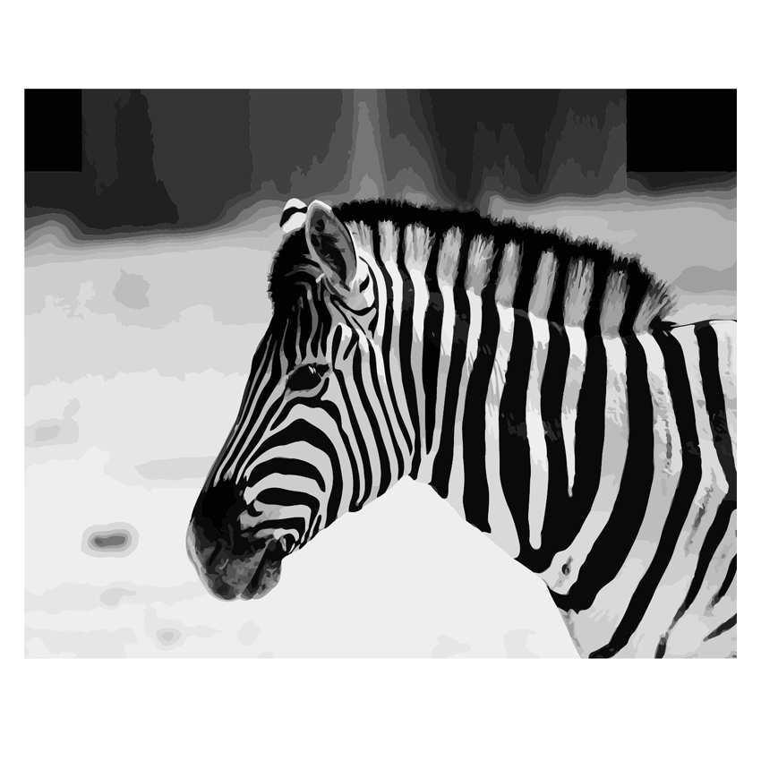

Black And White Zebra – Paint By Numbers - 40*50CM, 501 Original
