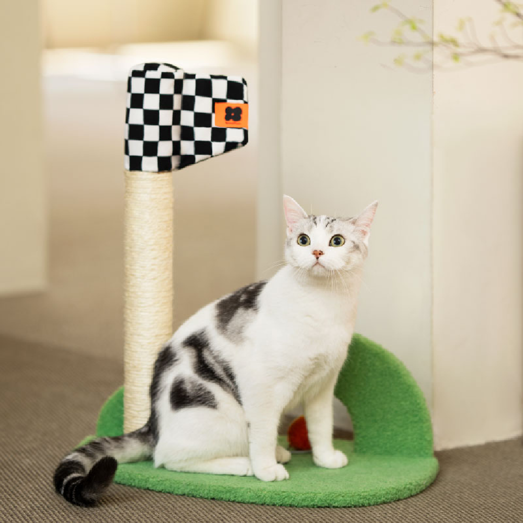 Mewoofun Golf Cat Scratching Post