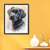 Labrador Dog-11CT Stamped Cross Stitch 40*50cm/15.75*19.69in tapestrymarket