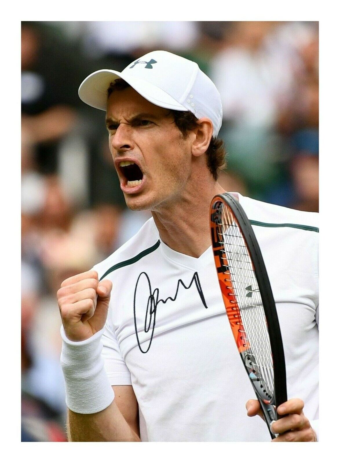 ANDY MURRAY AUTOGRAPH SIGNED PP Photo Poster painting POSTER