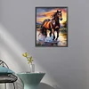 Cheval-Plein carré diamant peinture-40 * 50cm