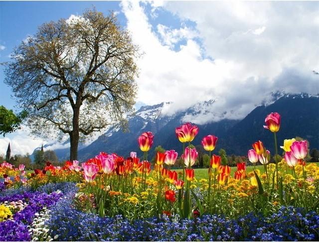 

Flowers on the Mountains – Paint By Numbers - 40*50CM, 501 Original