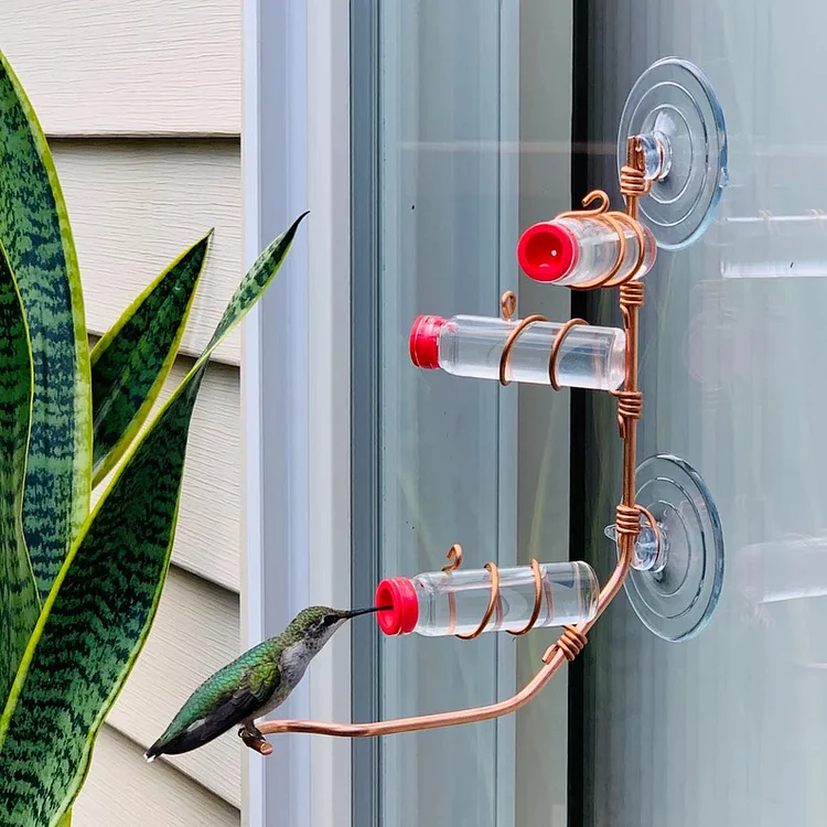 Sweet Feeders - Suction Cup Window Hummingbird Feeder: Copper Perch & Glass Bottles