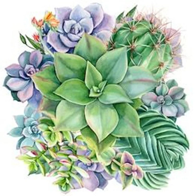 Succulent Round Full Drill Diamond Painting 30X30CM(Canvas) gbfke