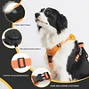 Automatic Retractable Dog Walking Harness