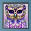 Diamond Painting -Full Round Drill Owl(40*40 CM)