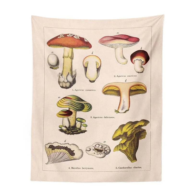 Quotes Mushroom Tapestry Wall Decor Mycology Mushroom Champignon Identification Chart Diagram Illustration Wall Art Boho Decor