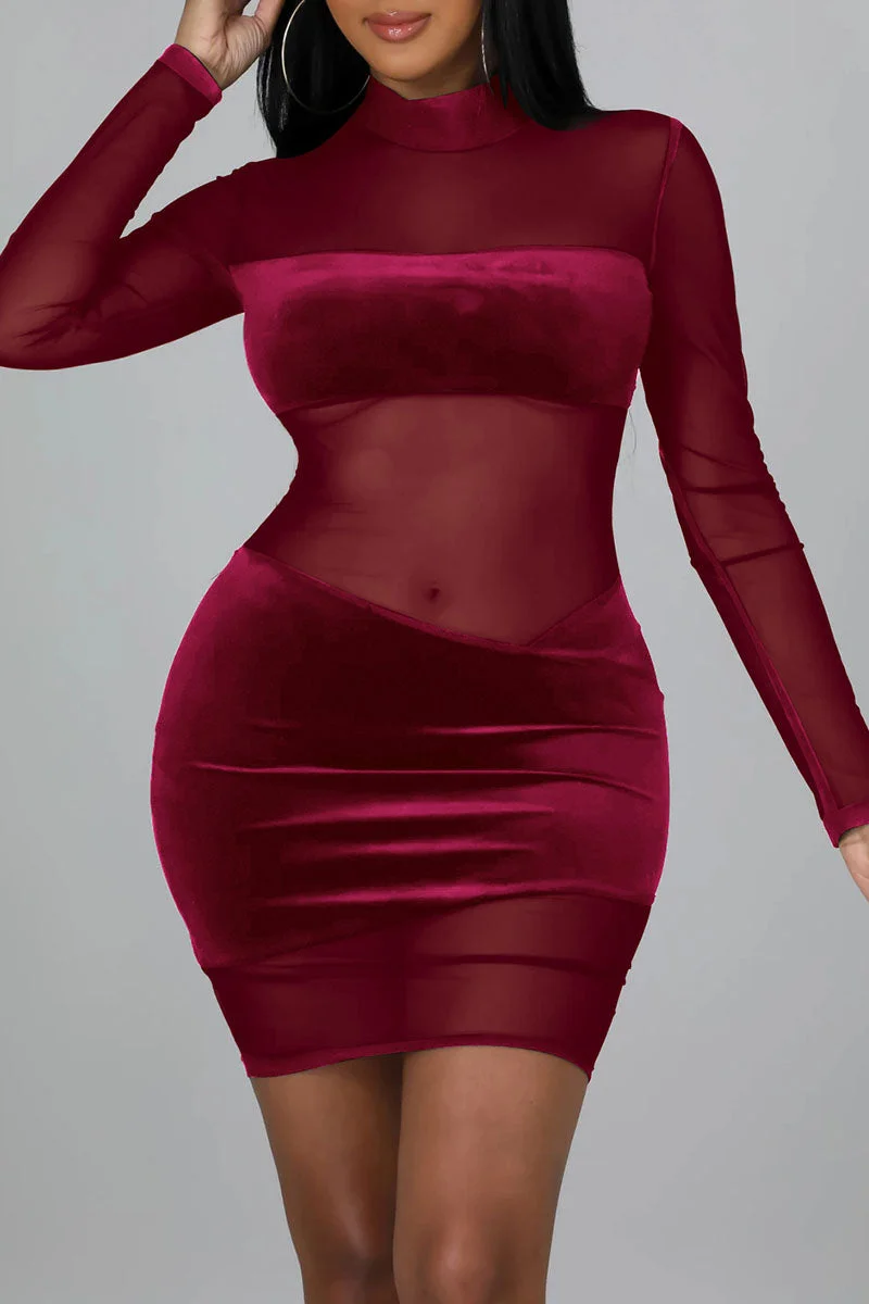 Sexy Solid Split Joint See-through Mesh Half A Turtleneck One Step Skirt Dresses