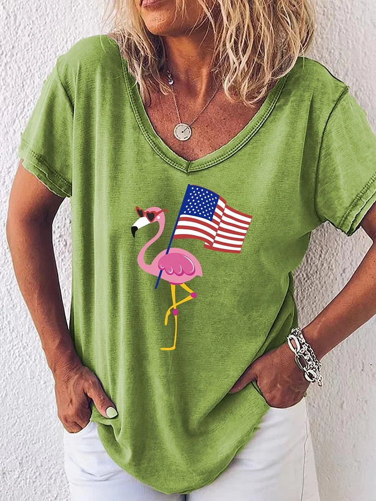 American Independence Day V Neck T-shirt-01902