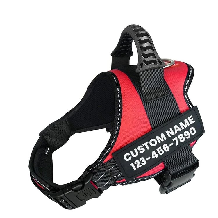 Personalized No Pull Dog Harness