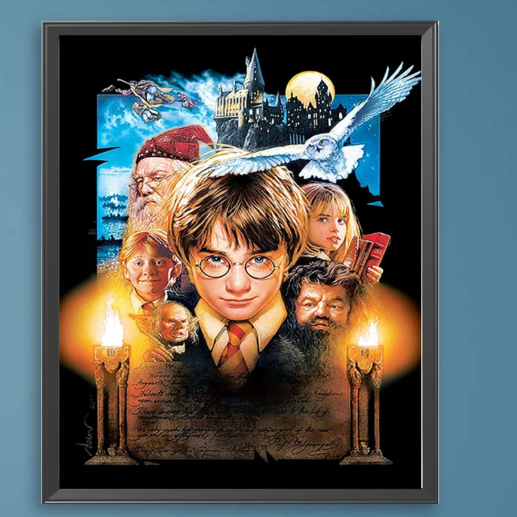 Harry Potter - Paint By Numbers(40*50cm)