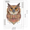 Diamond Painting-DIY Crystal Rhinestone Owl