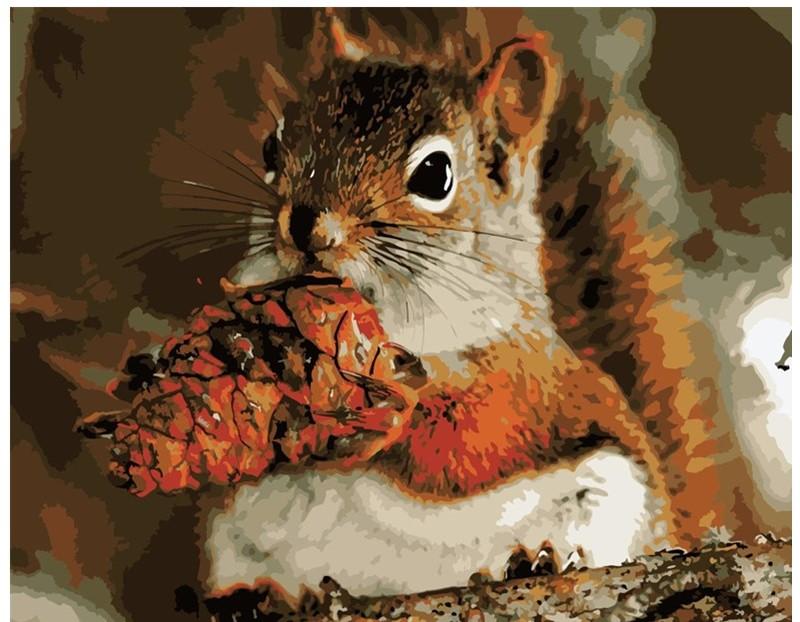 

Squirrel – Paint By Numbers - 40*50CM, 501 Original