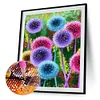 5D DIY Diamond Painting Kits Full Round Drill Color Dandelions Mosaic Craft