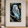 Diamond Painting-DIY Full Round Drill Owl(40*70CM)