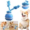Interactive Dog Toys USB Rechargeable Active Rolling Ball for Puppy/Small Dogs
