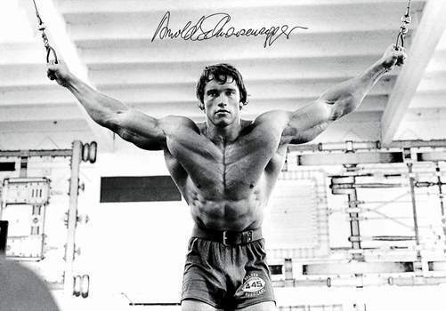 ARNOLD SCHWARZENEGGER - BODYBUILDING GYM 4 - SIGNED Photo Poster painting POSTER -  POST