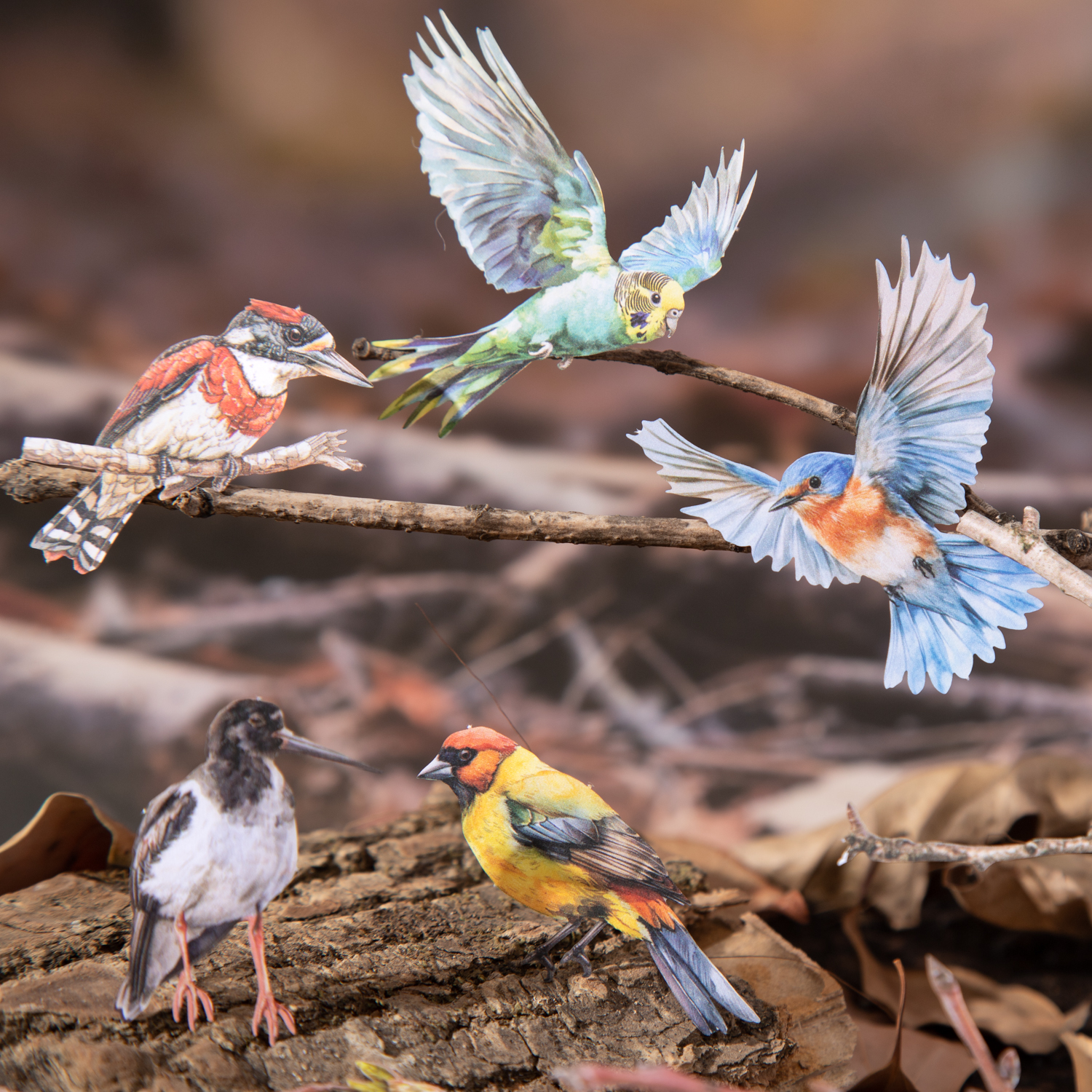 스티커 - 숲속의 새들 시리즈 빈티지 새 나뭇가지