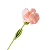 (Finished Product)Crochet Carnation Artificial Carnation Exquisite Aesthetic for Gift Home Office Decor