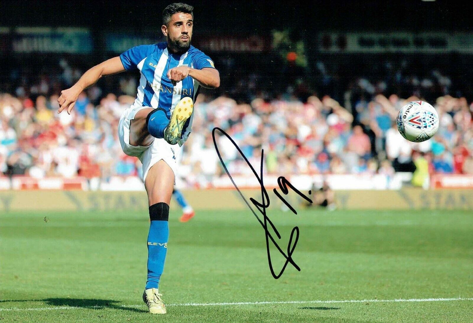 Marco MATIAS Sheffield Wednesday SWFC SIGNED 12x8 Photo Poster painting 1 AFTAL COA OWLS