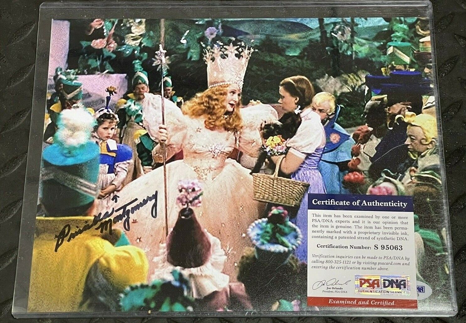 Priscilla Motgomery as Munchkin Child signed The Wizard of Oz 8x10 Photo Poster painting PSA COA