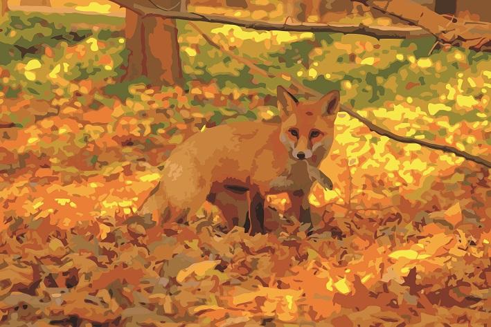 

Autumn Fox – Paint By Numbers - 40*50CM, 501 Original