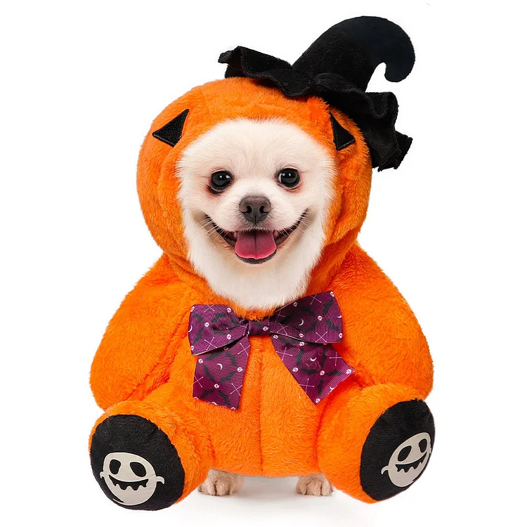 Dog Costume Thanksgiving Day Pumpkin Pet Costume Outfits Halloween Carnival Suit