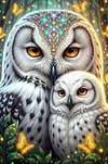 Luxury AB Velvet Diamond Painting Kit - Owl