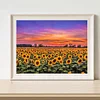 Diamond Painting -5D Full Square Drill Sunflower Field