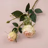 Autumn Vibe 2 Heads Burn Edge Stem Rose Artificial Flower