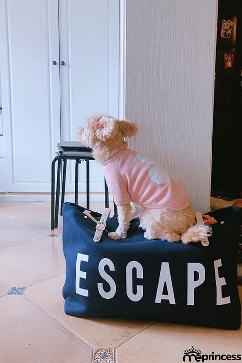 Letter Leather Buckle Travel Bag