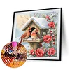 Diamond Painting - Full Round Drill - Cardinal(Canvas|40*40cm)