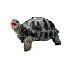 2024 Simulation turtle series Galapagos tortoise tortoise model