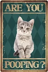 Funny"Are You Pooping Cat" - Vintage Metal Signs(12*16Inch) - Cat