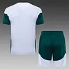 Joyfball 2026/2027 Italy Short sleeve white training Jersey+Shorts