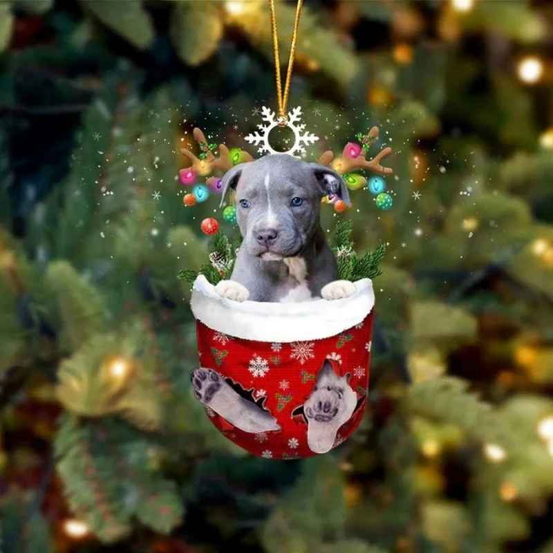 VigorDaily Blue Pitbull In Snow Pocket Christmas Ornament SP076