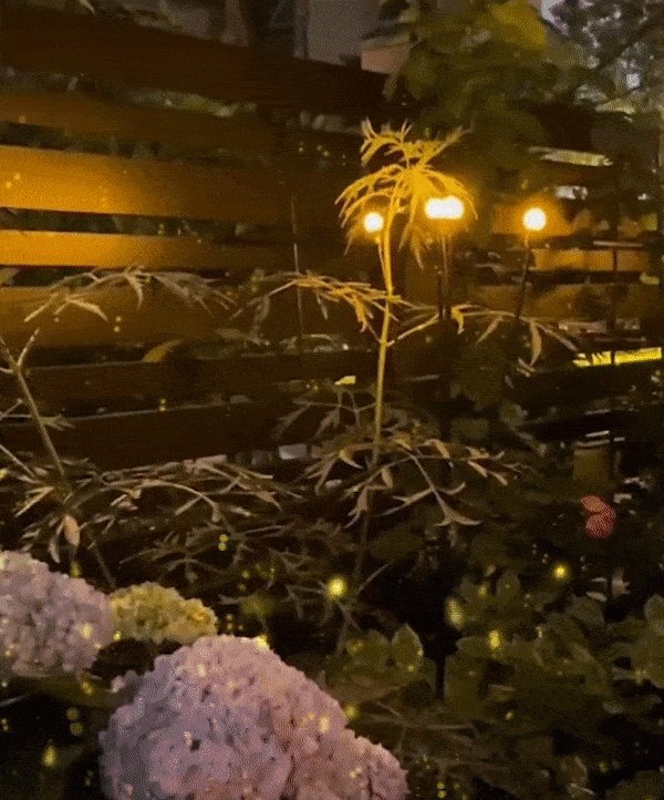 Solar Firefly Light with Auto Power ON/OFF Winterproof