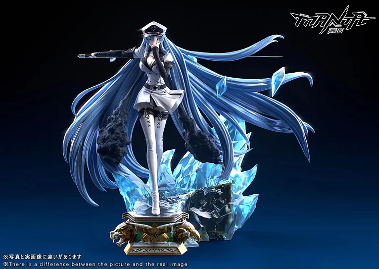 Manta Studio - Akame ga Kill Esdeath 1/6 Statue(GK)-