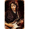 Rory Gallagher - Vintage Metal Signs - 20*30cm/30*40cm - Music